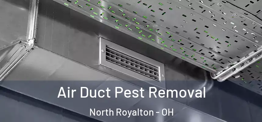  Air Duct Pest Removal North Royalton - OH