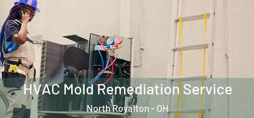 HVAC Mold Remediation Service North Royalton - OH