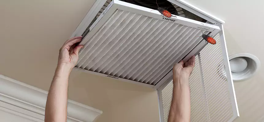 Preventive Cockroach-Proofing for Ducts in North Royalton