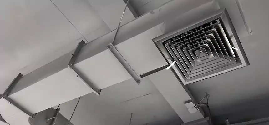 Restorative Allergy Relief Vent Cleaning – Coil, Blower & Housing Detail in North Royalton