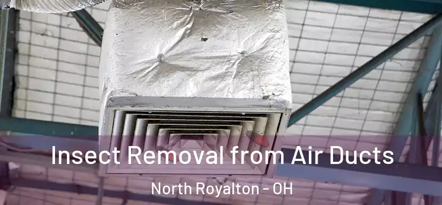  Insect Removal from Air Ducts North Royalton - OH