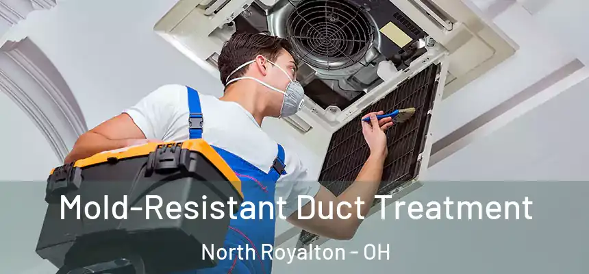  Mold-Resistant Duct Treatment North Royalton - OH