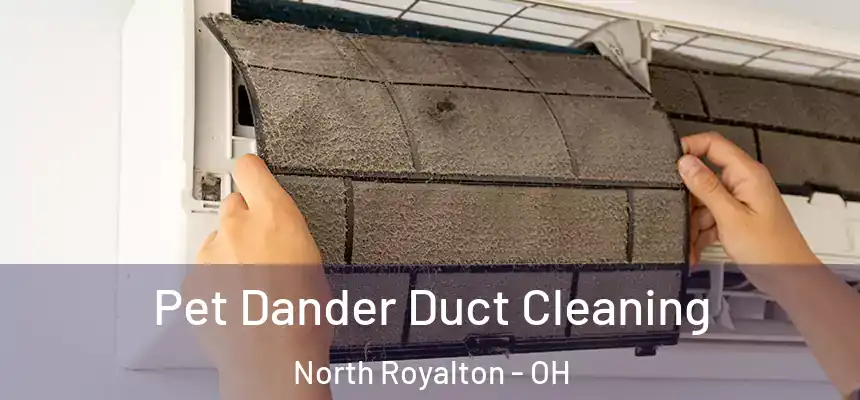 Pet Dander Duct Cleaning North Royalton - OH