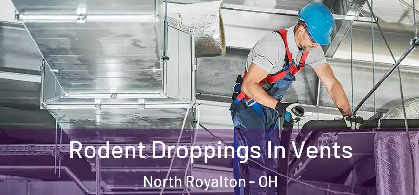  Rodent Droppings In Vents North Royalton - OH