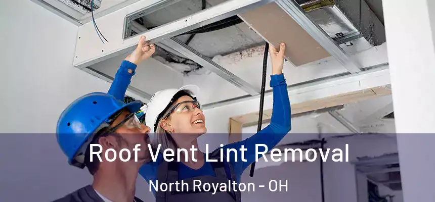 Roof Vent Lint Removal North Royalton - OH