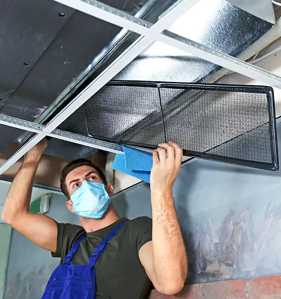 About Air Duct Bacteria Removal in North Royalton