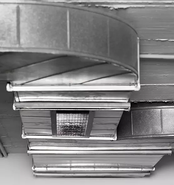 Professional Air Duct Pest Removal in North Royalton, OH